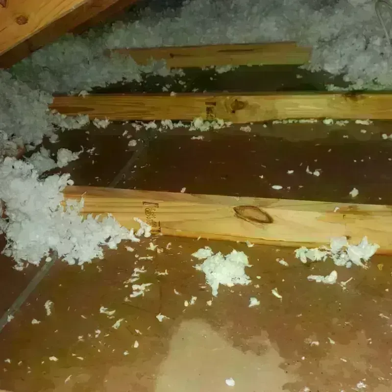 Attic Water Damage in Frankfort, IN